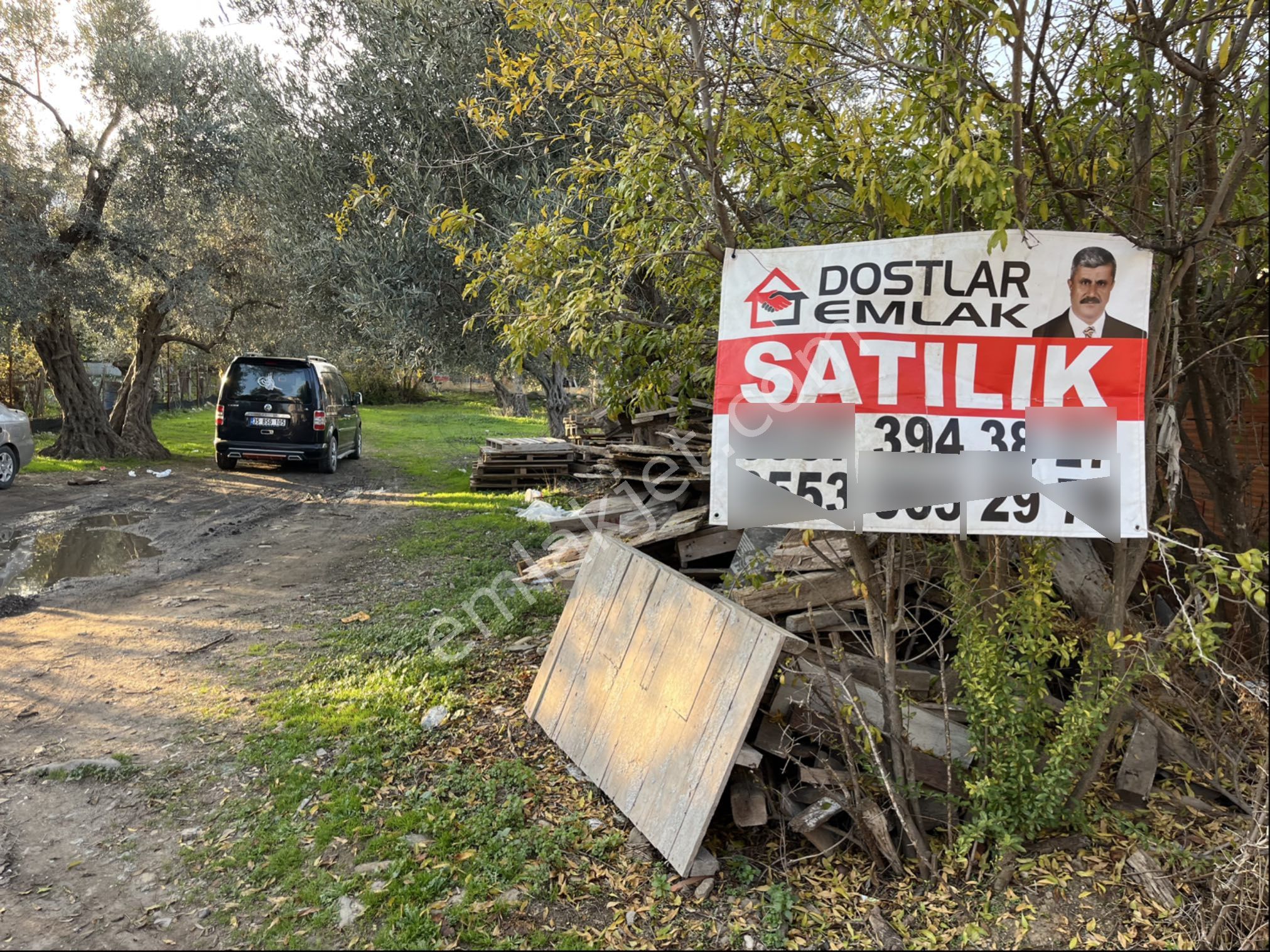 Satılık Yatırıma Uygun Zeytinlik - Görsel 5