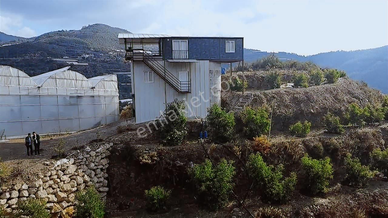 Alanya Güney Mahellesi Satılık 9758m2 Ev Ve Avokado Bahçesi