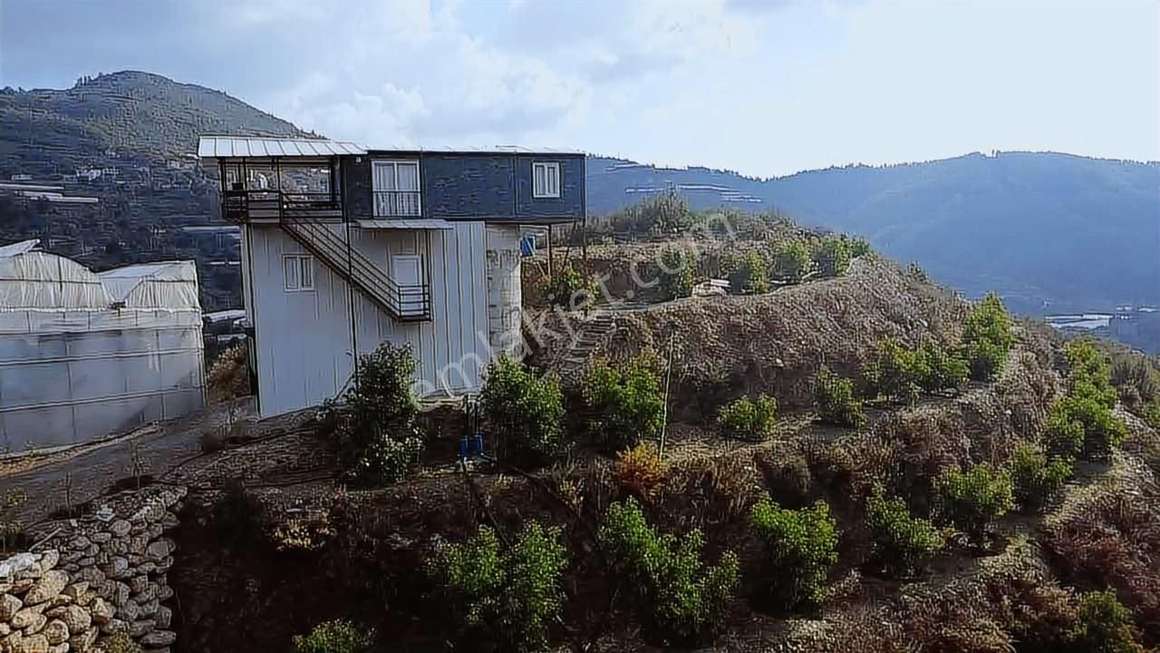 Alanya Güney Mahellesi Satılık 9758m2 Ev Ve Avokado Bahçesi - Görsel 24
