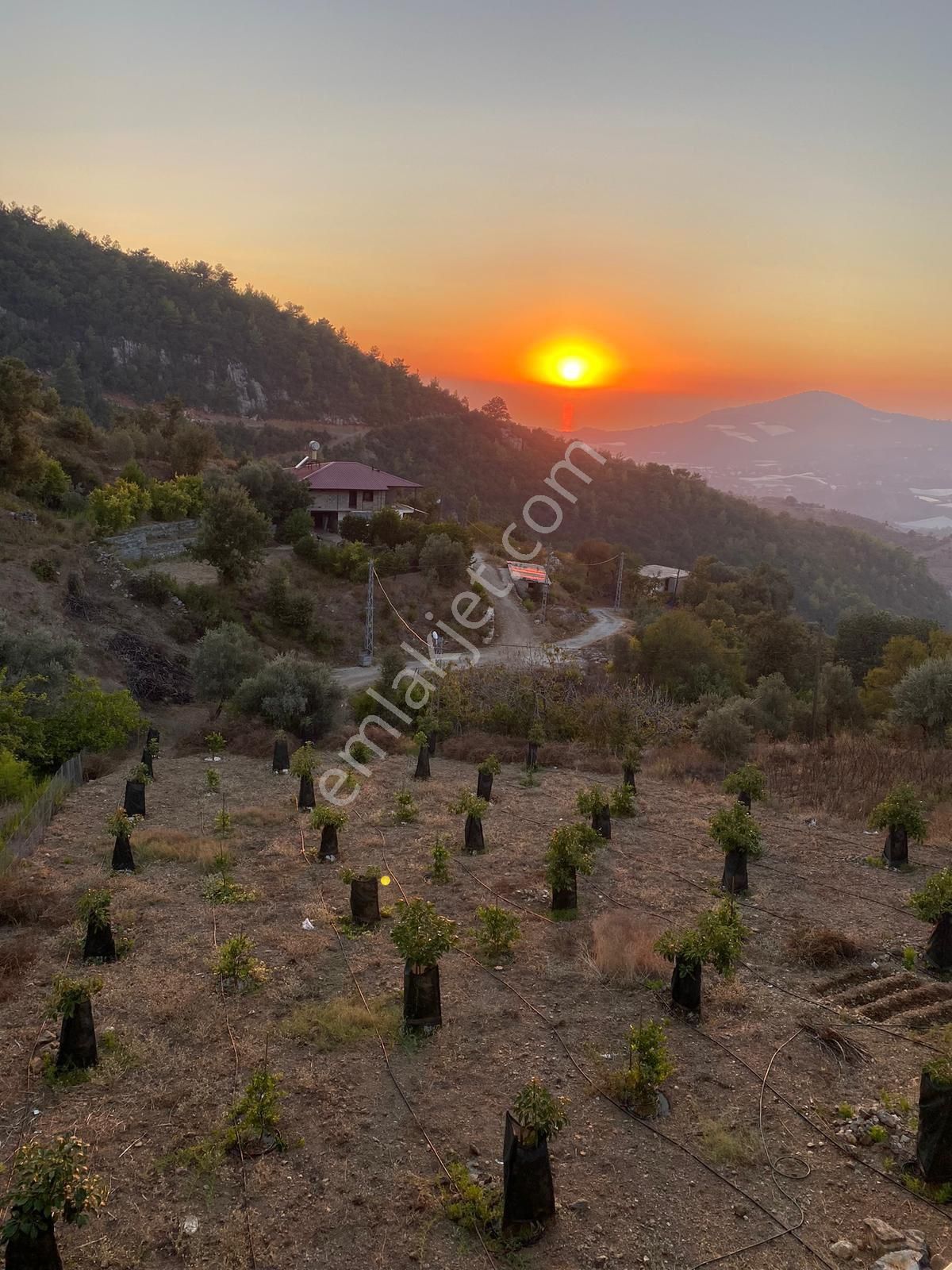 Alanya Deniz Ve Doğa Manzaralı Bahçeli Ahşap Ev (takasa Açık) - Görsel 5