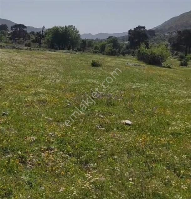 Kaş Hacıoğlan'da Doğa İle İç İçe 578 M2 Satılık Tarla - Görsel 5