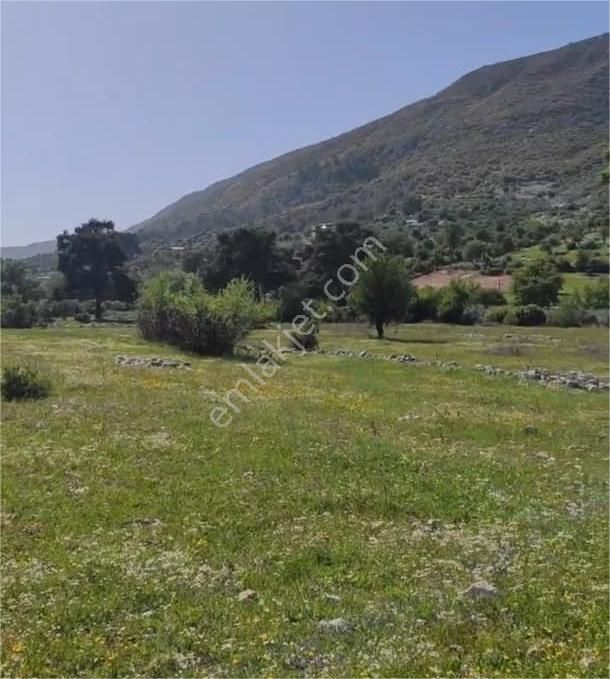 Kaş Hacıoğlan'da Doğa İle İç İçe 578 M2 Satılık Tarla - Görsel 3