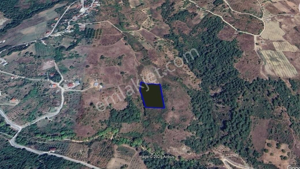 Sakarya Geyvede Satılık Tarla Tarım Ve Yatırıma Uygun - Görsel 4