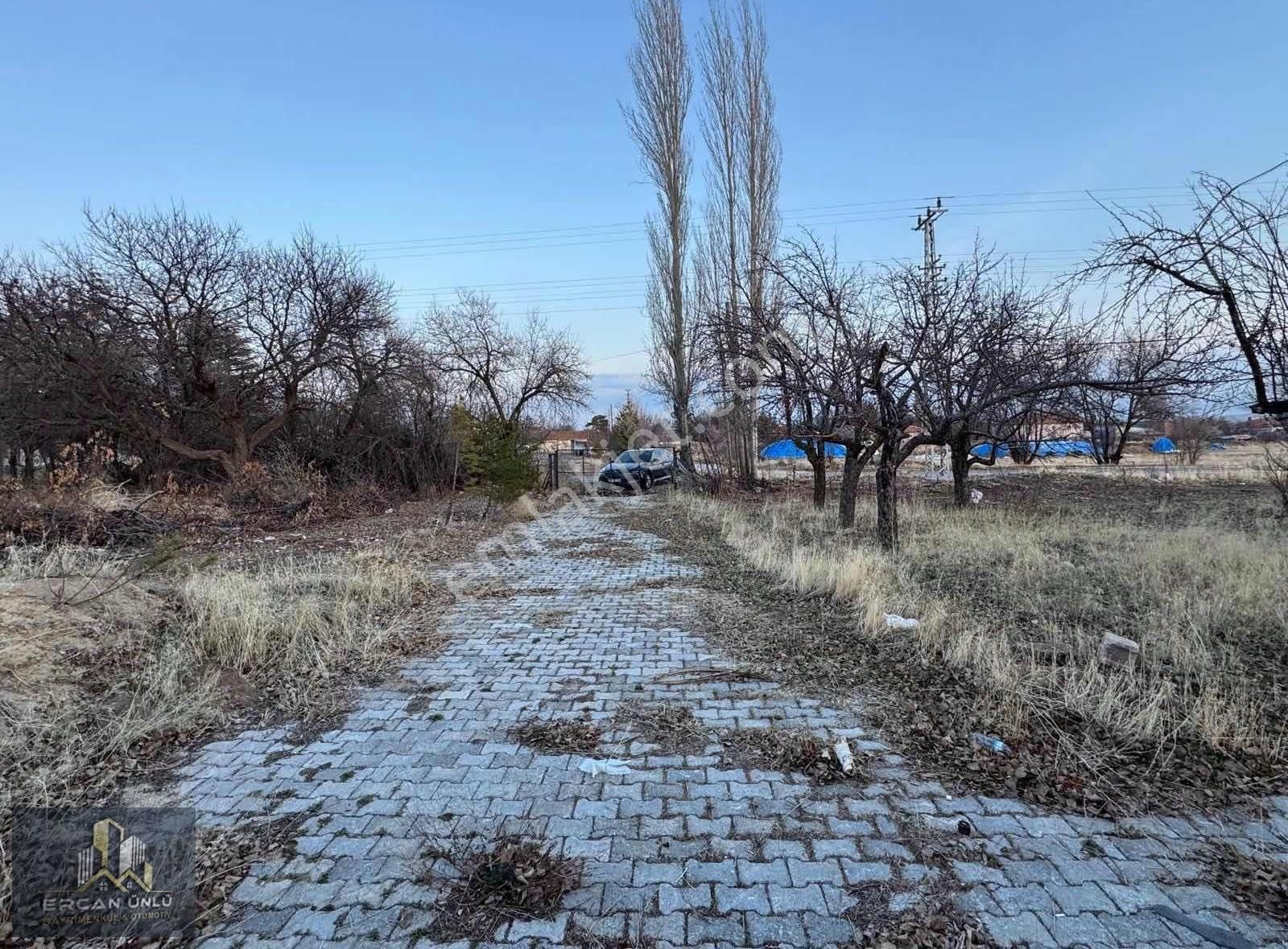 Pazarören Fatih Mah.'de 10.576 M² Müstakil Ev Ve Ahırlı Tarla - Görsel 9