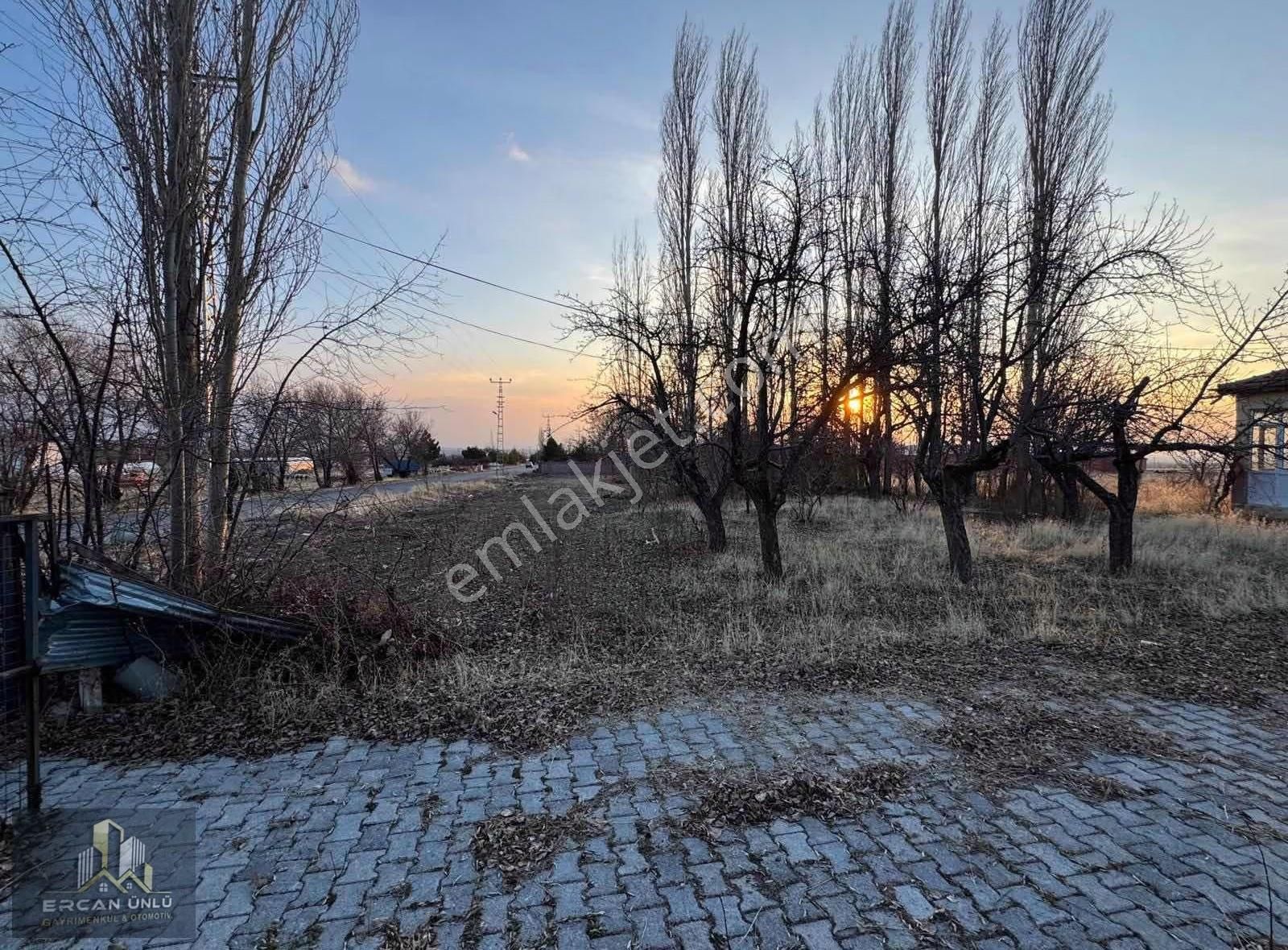 Pazarören Fatih Mah.'de 10.576 M² Müstakil Ev Ve Ahırlı Tarla - Görsel 2