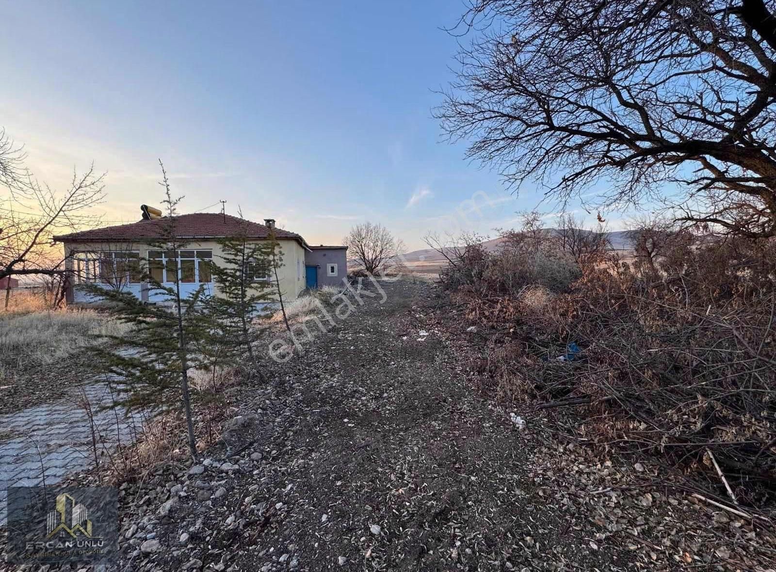 Pazarören Fatih Mah.'de 10.576 M² Müstakil Ev Ve Ahırlı Tarla - Görsel 5