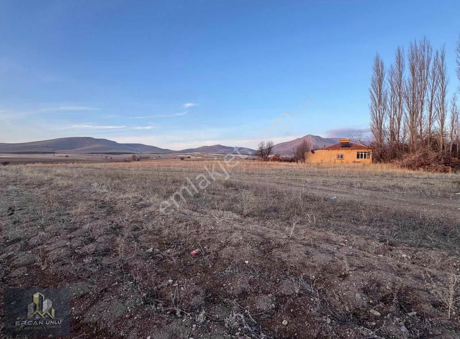 Pazarören Fatih Mah.'de 10.576 M² Müstakil Ev Ve Ahırlı Tarla - Görsel 12