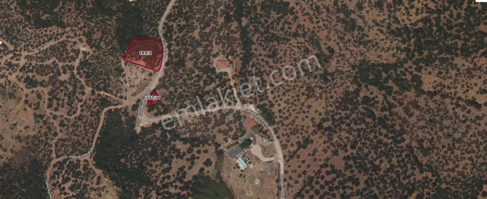 Toplamda 2085 Metrekare Asfalta Cephe Zeytinlik 2 Adet Tapu - Görsel 2