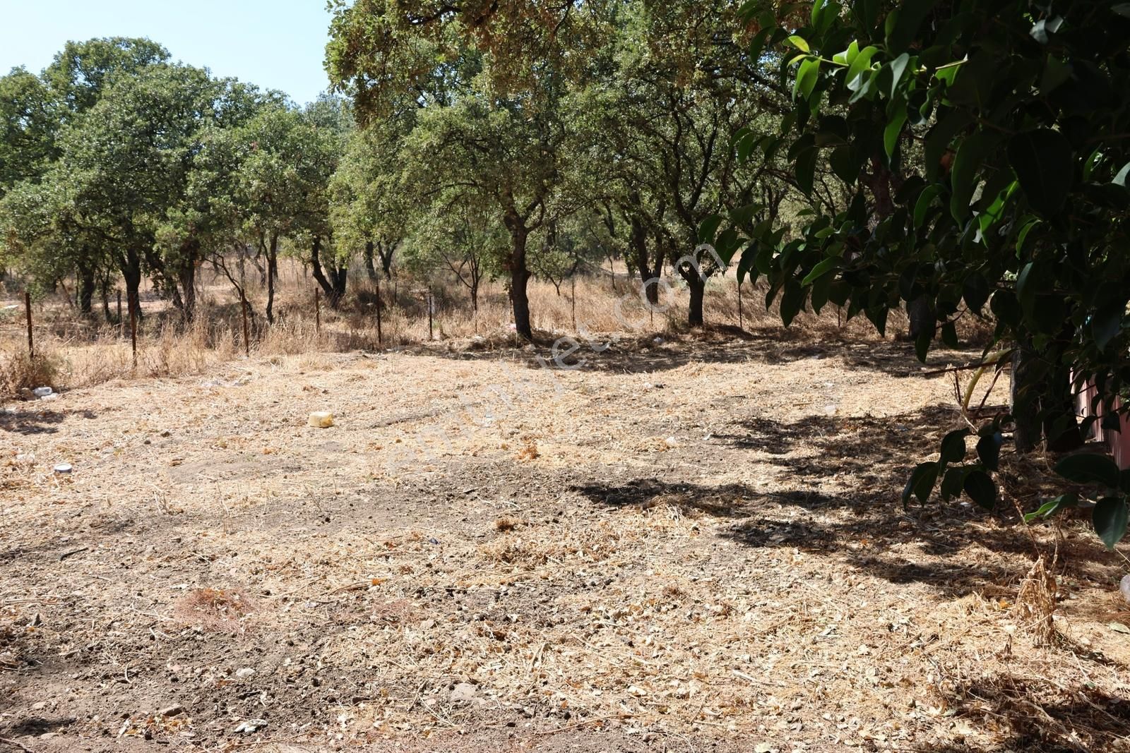Rw Nefes' Ten Ören Mahallesinin Kalbinde 642 M²arsa - Görsel 3
