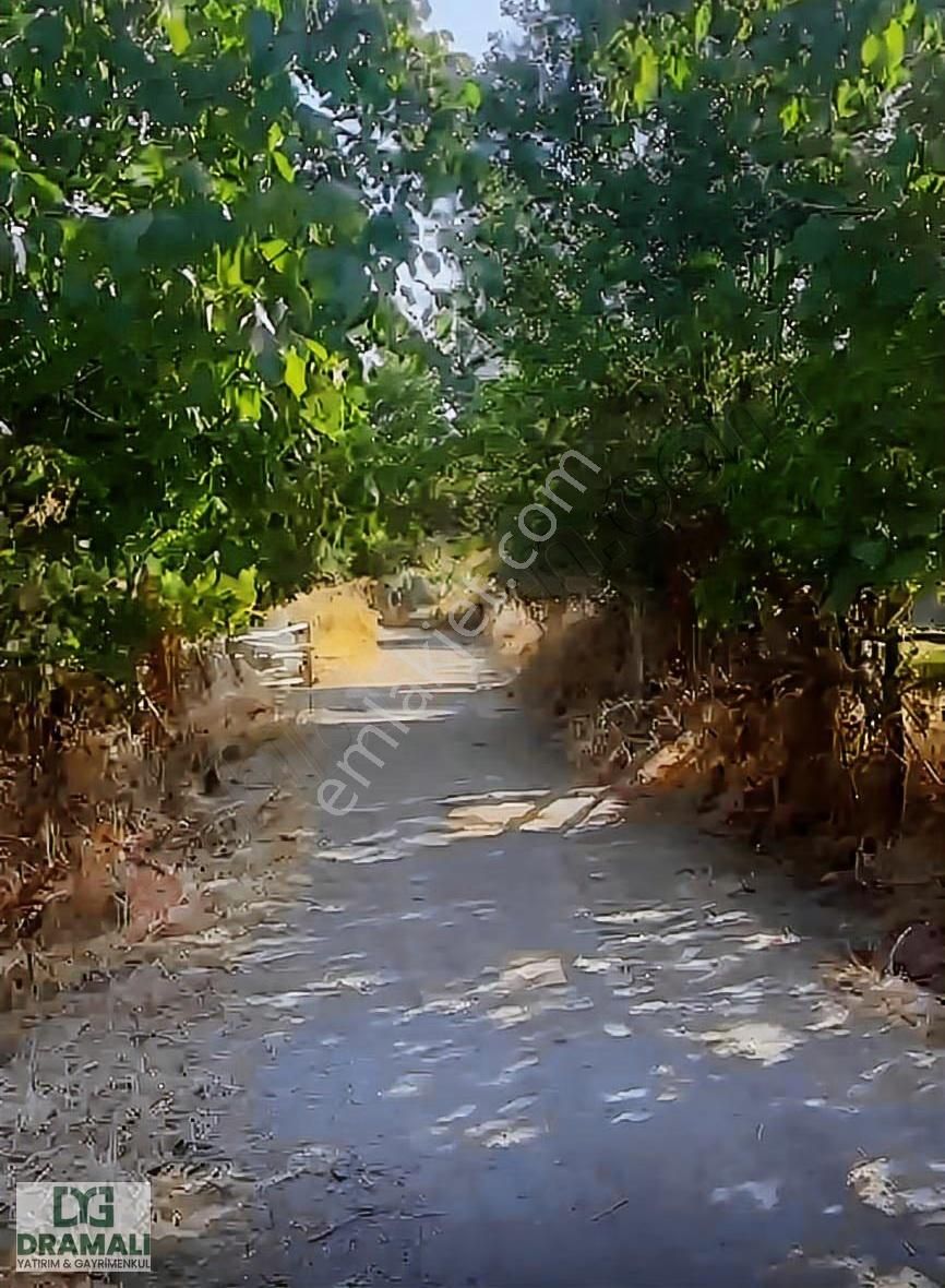 Karadoru Yol Cepheli Köy Yerleşik Alanında Satılık İmarlı Arsa - Görsel 13