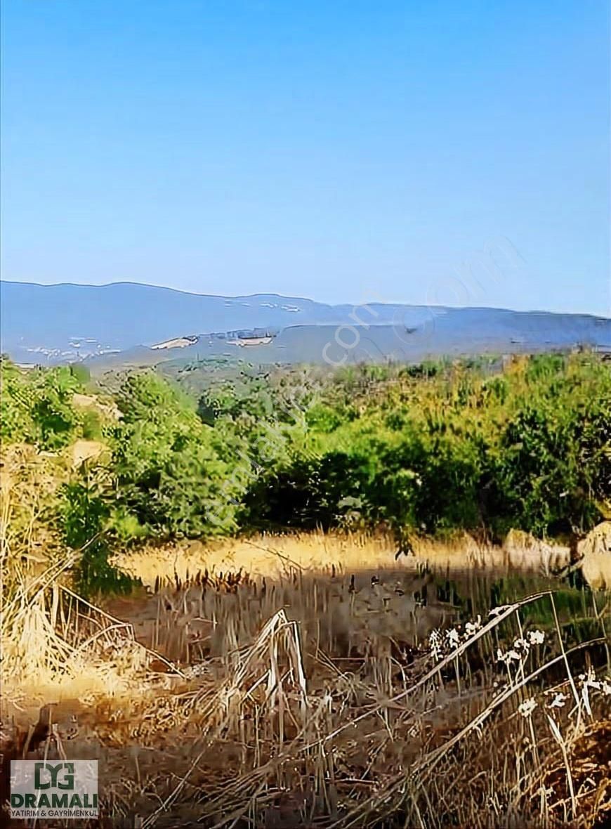 Karadoru Yol Cepheli Köy Yerleşik Alanında Satılık İmarlı Arsa