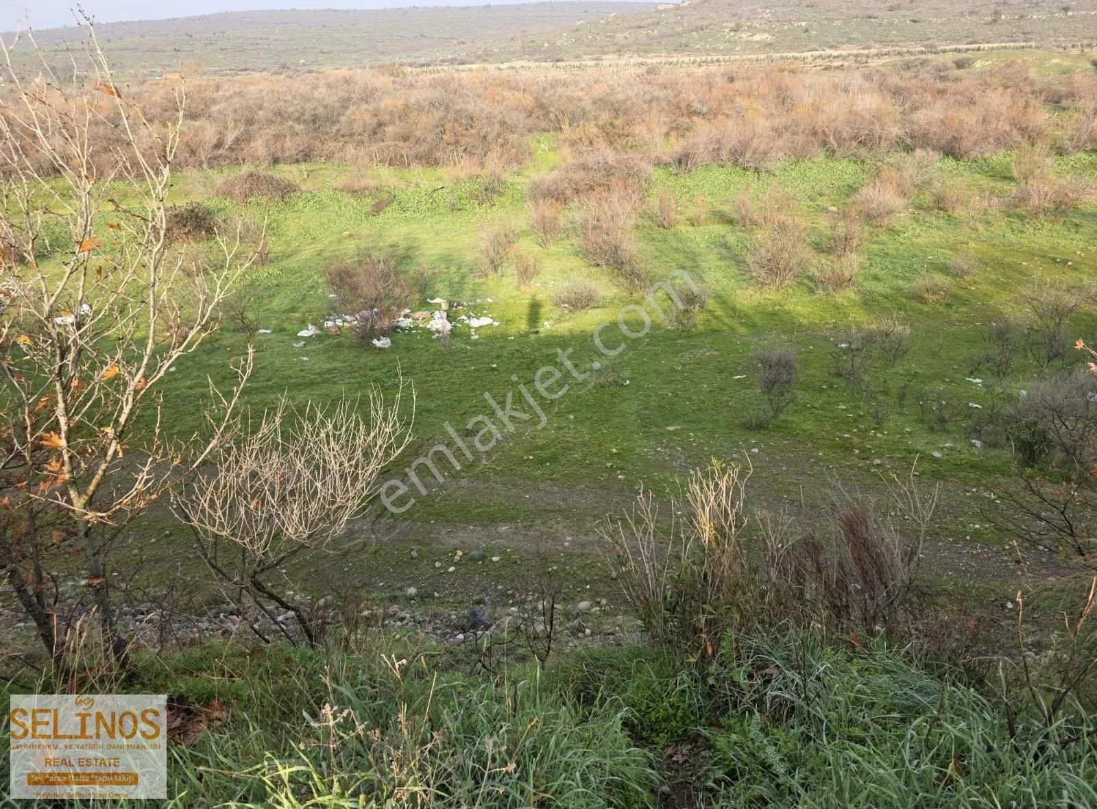 Bergama Ayasköy Mahallesinde 1701 M2 Tarla - Görsel 2