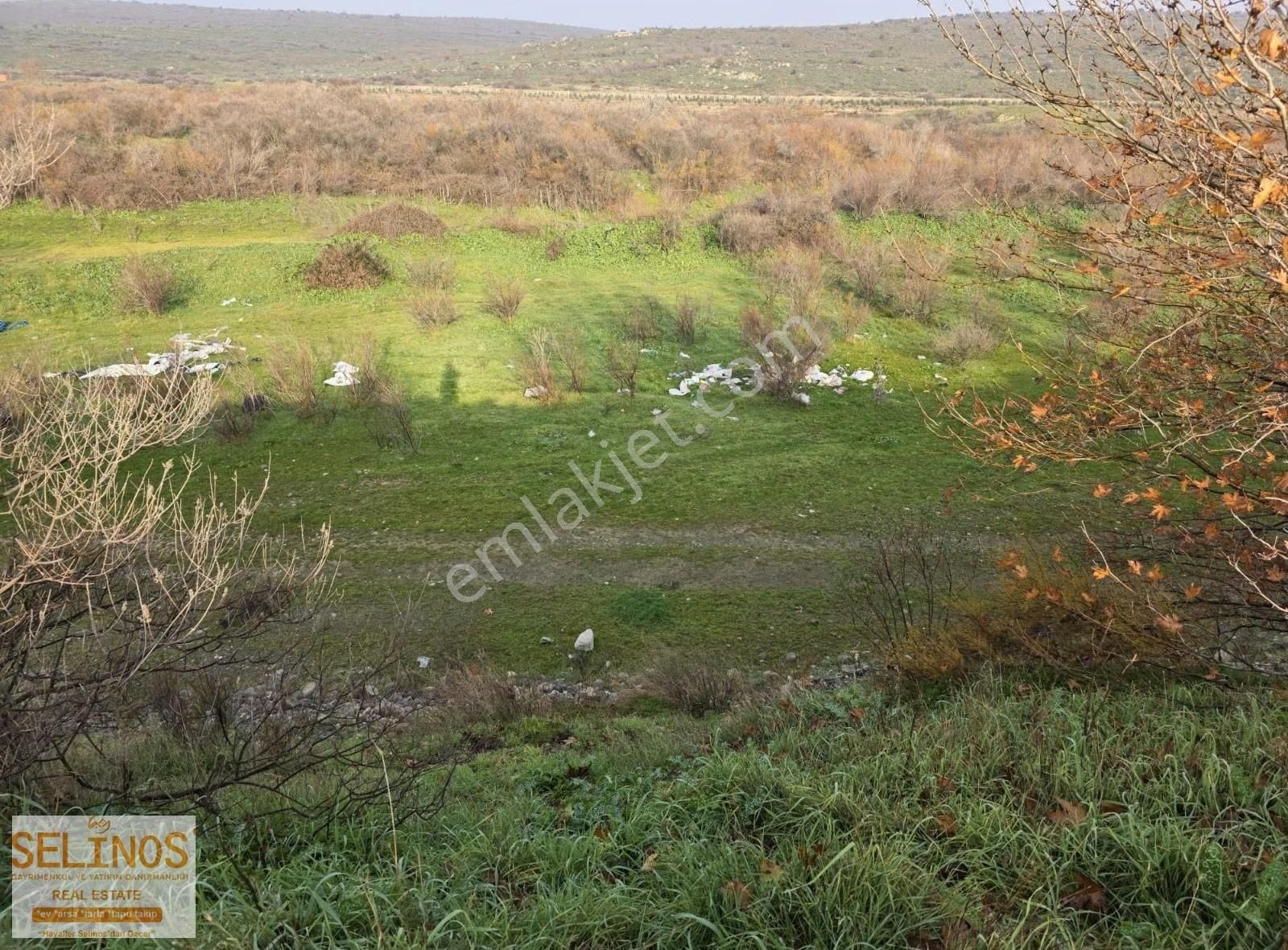 Bergama Ayasköy Mahallesinde 1701 M2 Tarla - Görsel 4