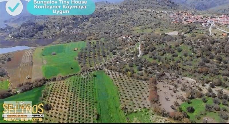 Bergama Hamzalısüleymaniye Köyünde 4313 M2 Zeytinlik - Görsel 10
