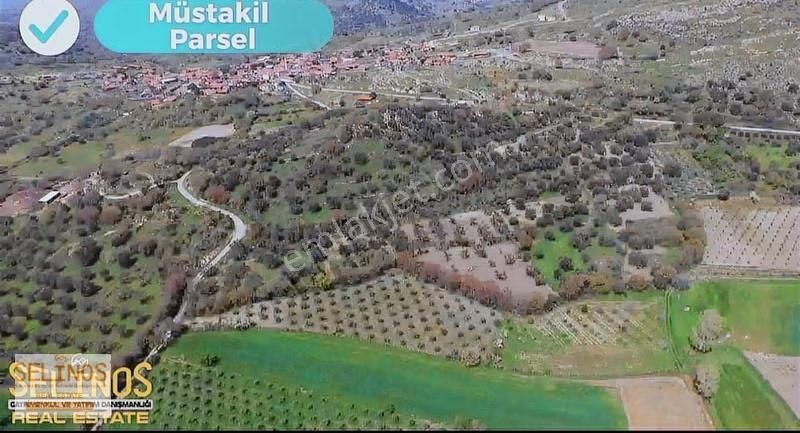 Bergama Hamzalısüleymaniye Köyünde 4313 M2 Zeytinlik - Görsel 5