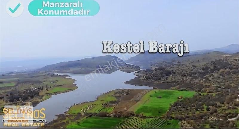 Bergama Hamzalısüleymaniye Köyünde 4313 M2 Zeytinlik - Görsel 9