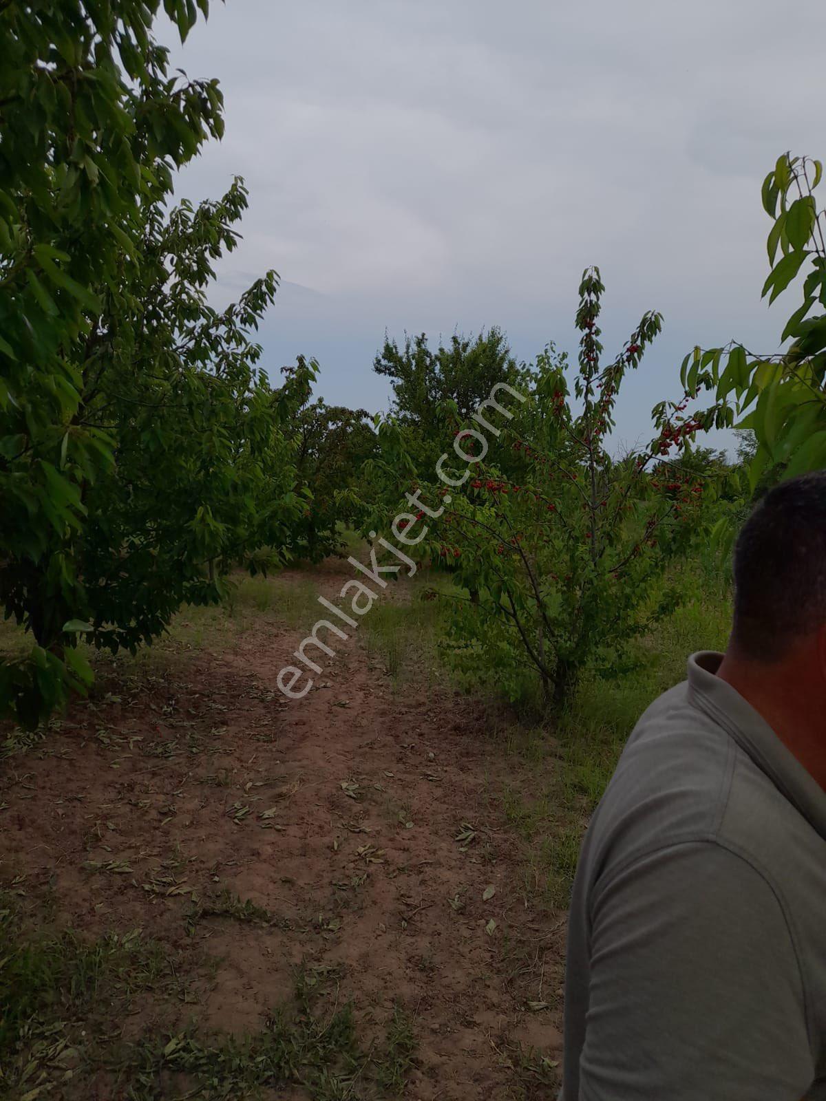 Şehir Merkezine Beş Dakika Uzaklıkta Tarla - Görsel 4