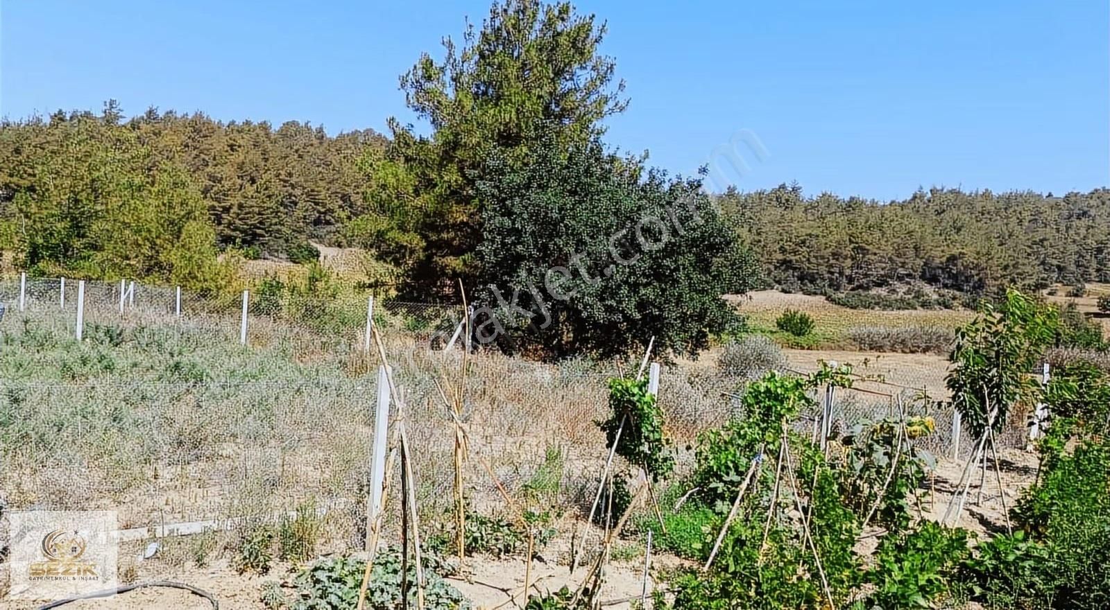 Karaisalı Eğlence Köyü 450m² Alt Yapı Elektrik Su Sorunu Yok - Görsel 5