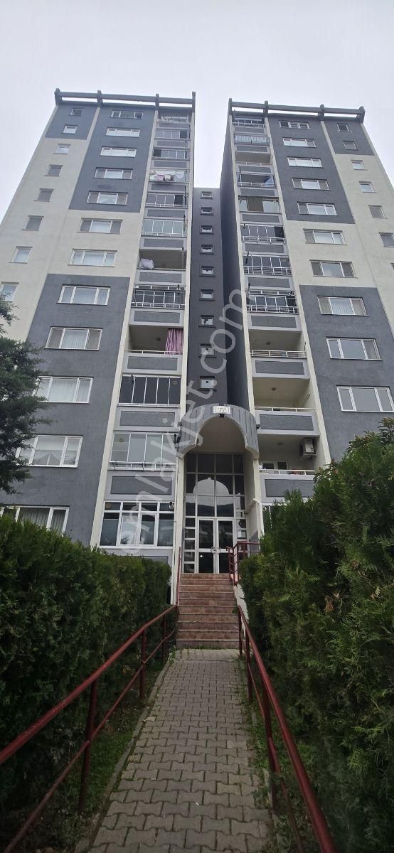 Pw Plus'tan Hasanaga Toki De 3+1 Kiralık Daire