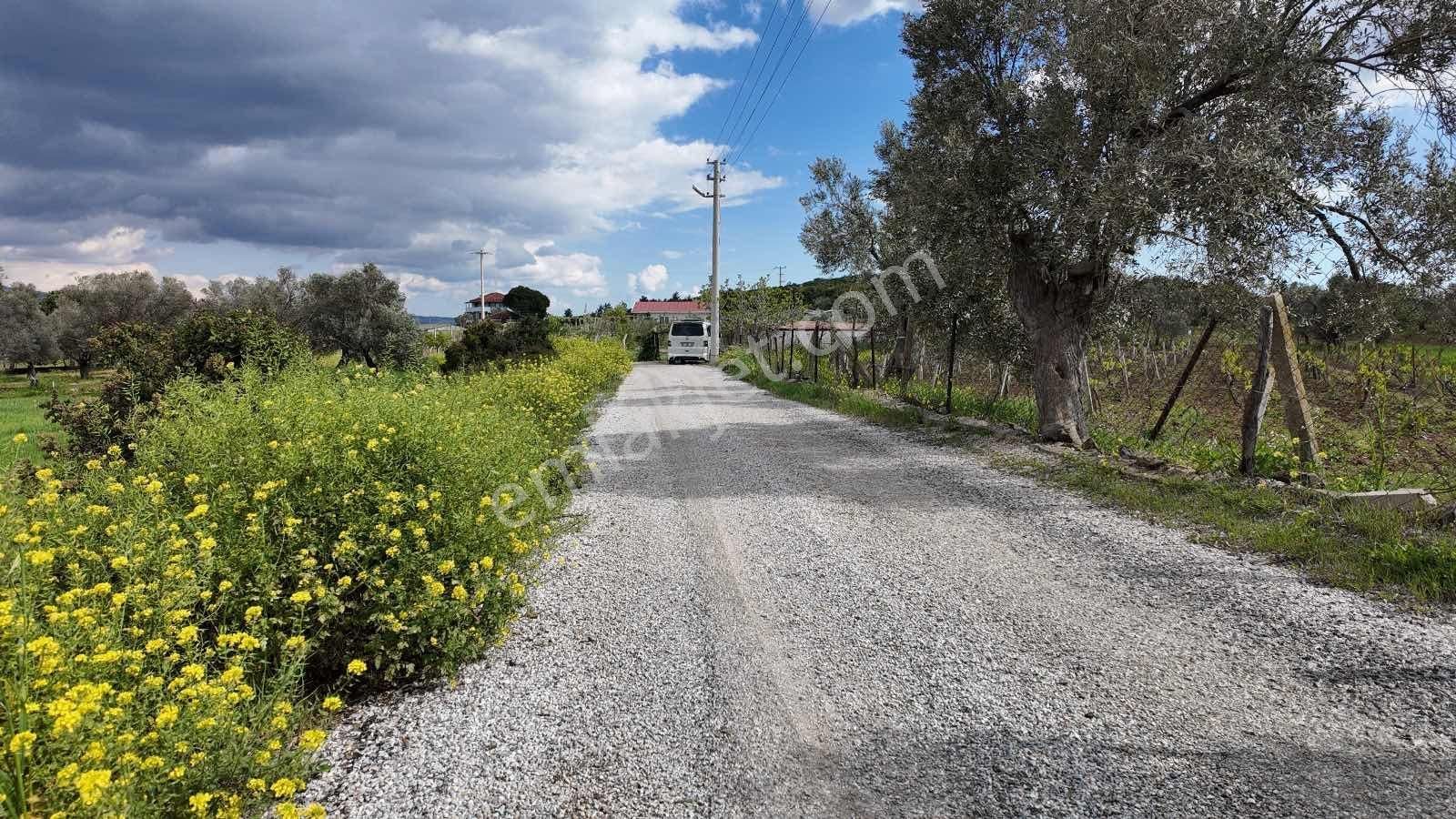 Urla Ovacık'ta Satılık Tarla