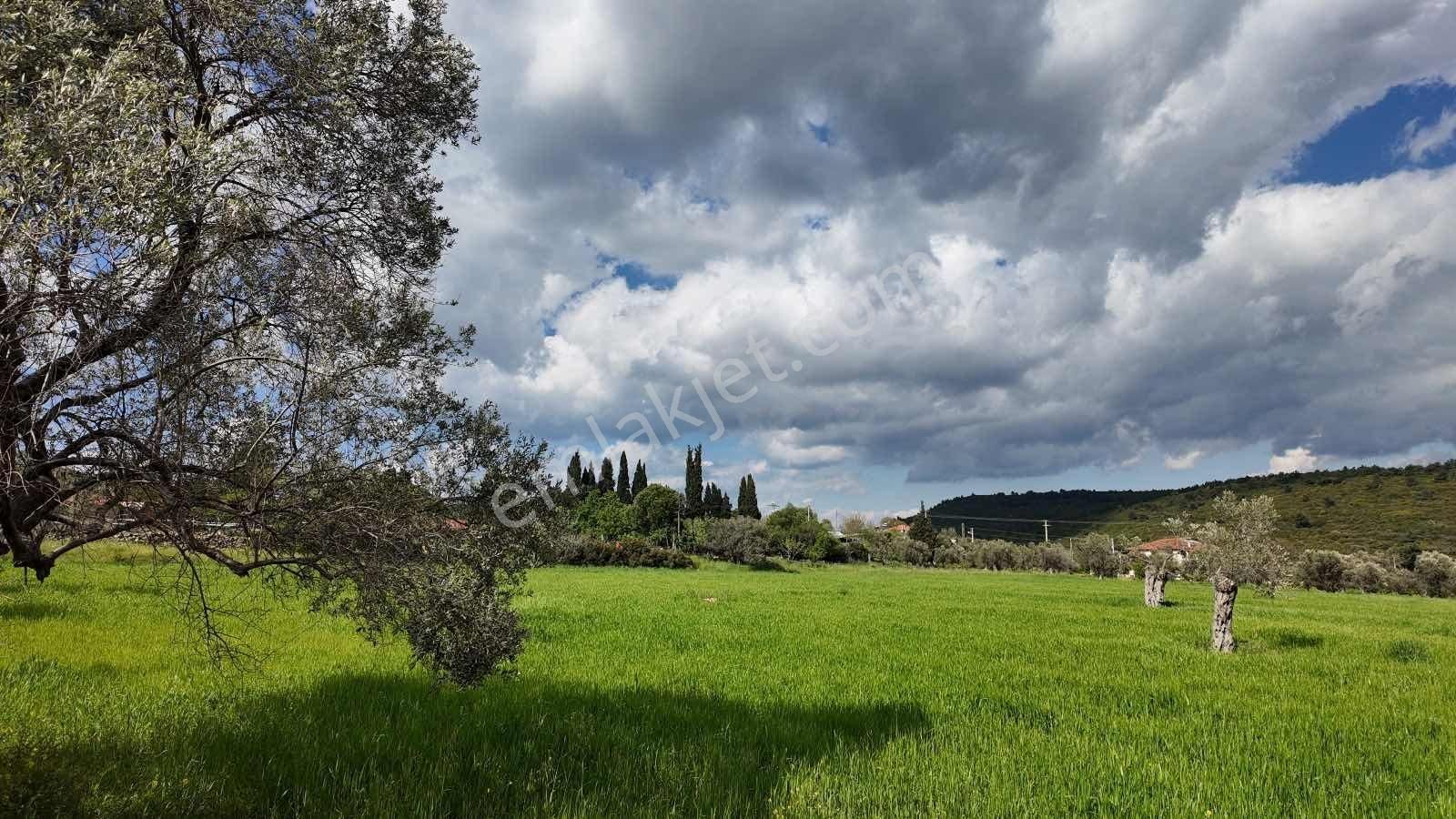 Urla Ovacık'ta Satılık Tarla - Görsel 10