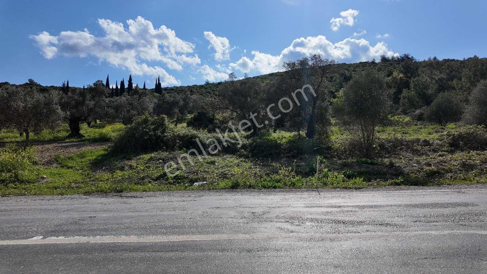 Urla Ovacık'ta Satılık Tarla - Görsel 5