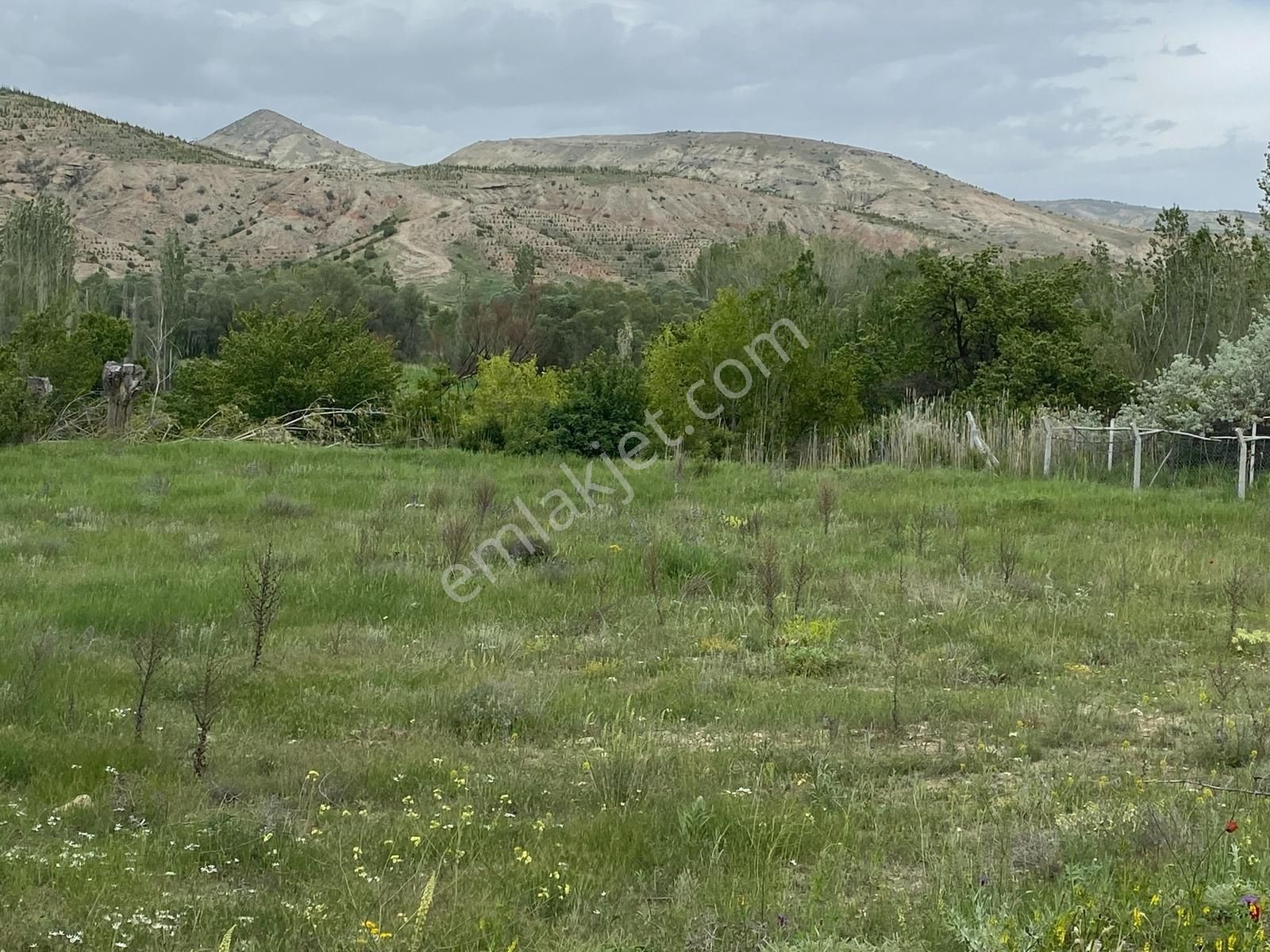 Küçükmuhsine'de Satılık Mustakil Bahçe - Görsel 5