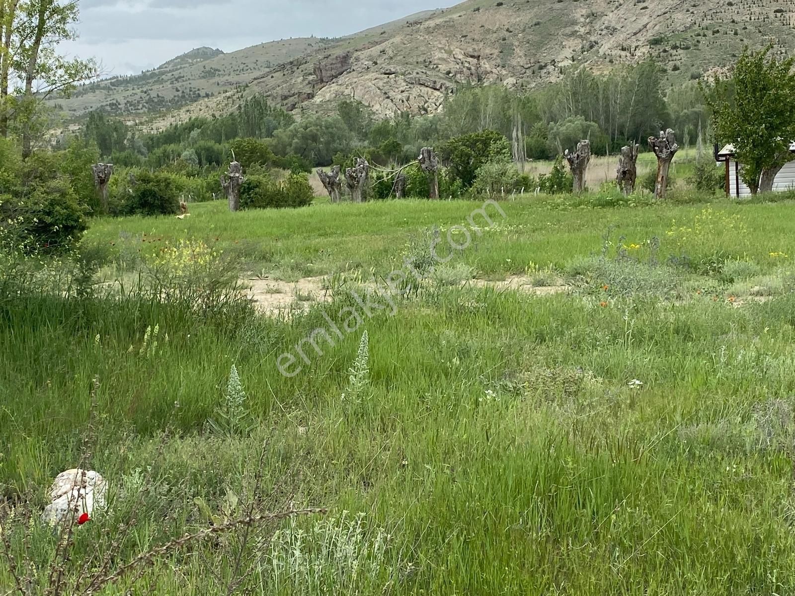 Küçükmuhsine'de Satılık Mustakil Bahçe - Görsel 2
