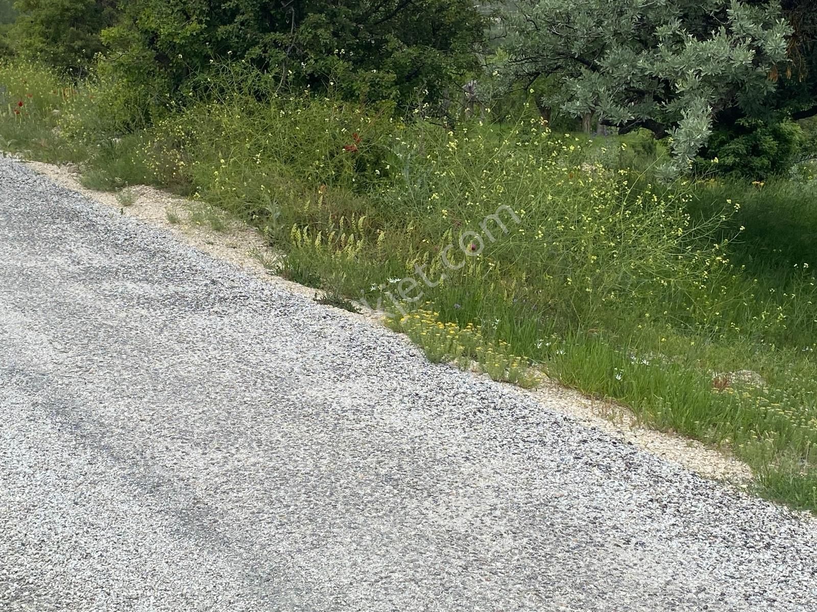 Küçükmuhsine'de Satılık Mustakil Bahçe - Görsel 8