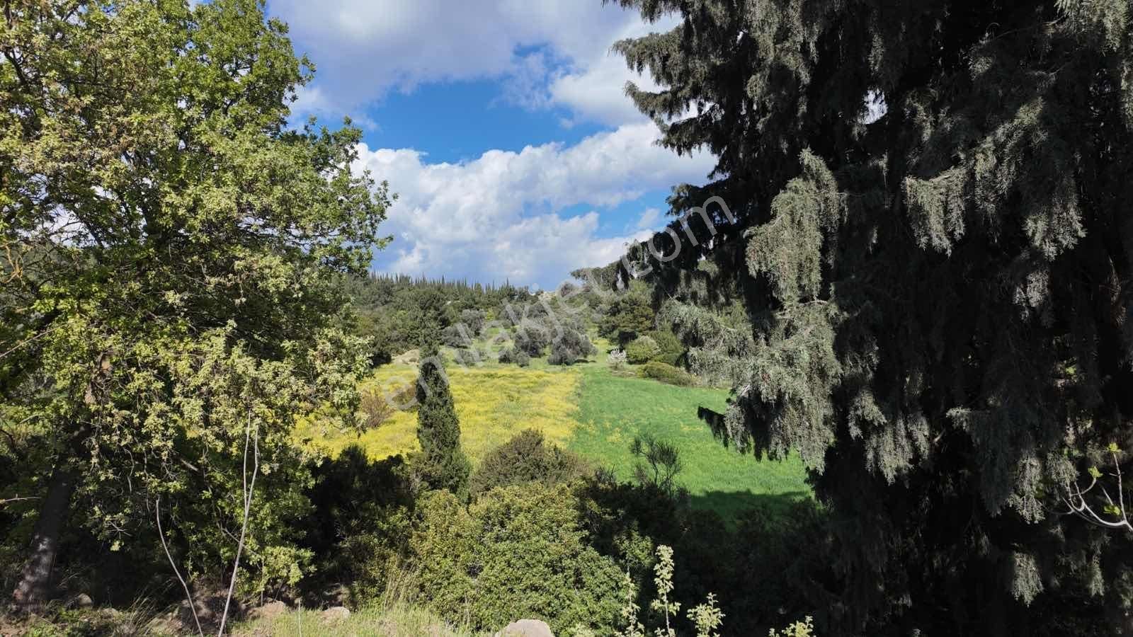 Urla Ovacık'ta Tarla - Görsel 3