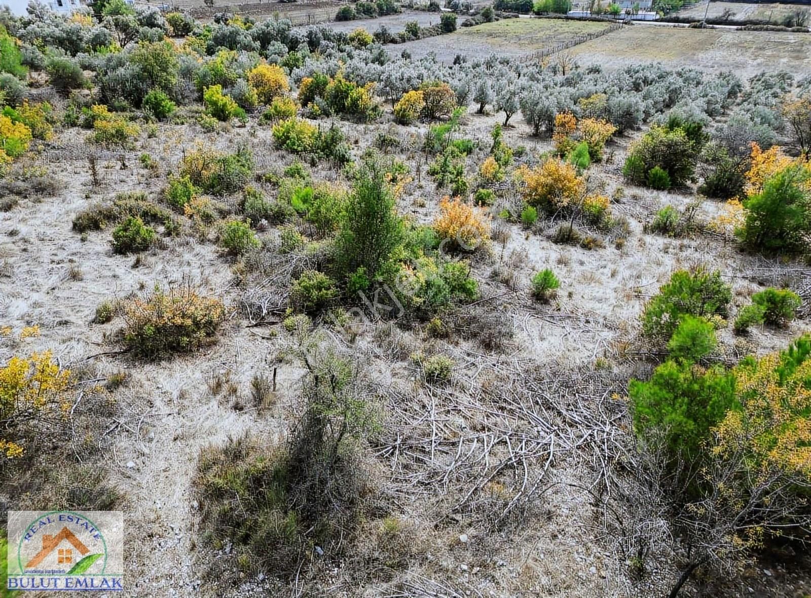 Bulut'tan Muğla Gülağzın'da İmarlı 600 M2 Satılık Arsa - Görsel 3
