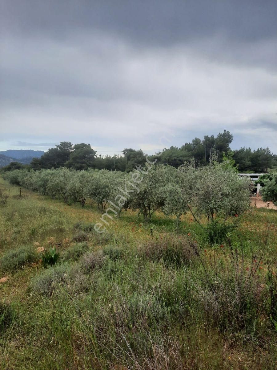 Kaş Kınık'ta Satılık Arazi - Görsel 11