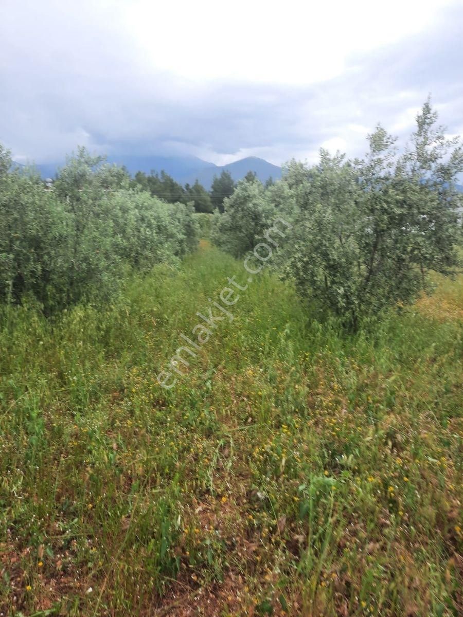 Kaş Kınık'ta Satılık Arazi - Görsel 16