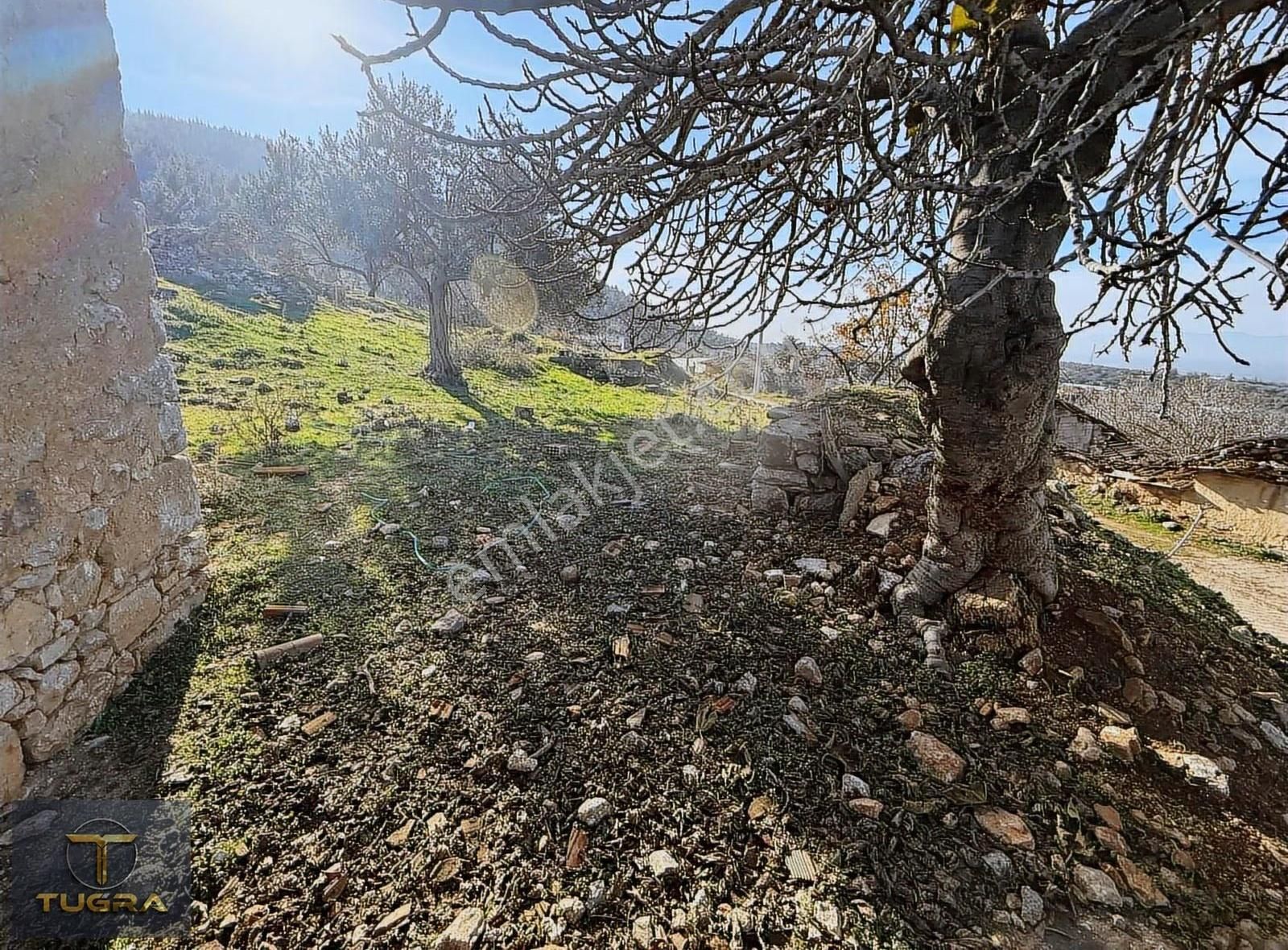 Tuğradan Cinge De Satılık Arsa - Görsel 2