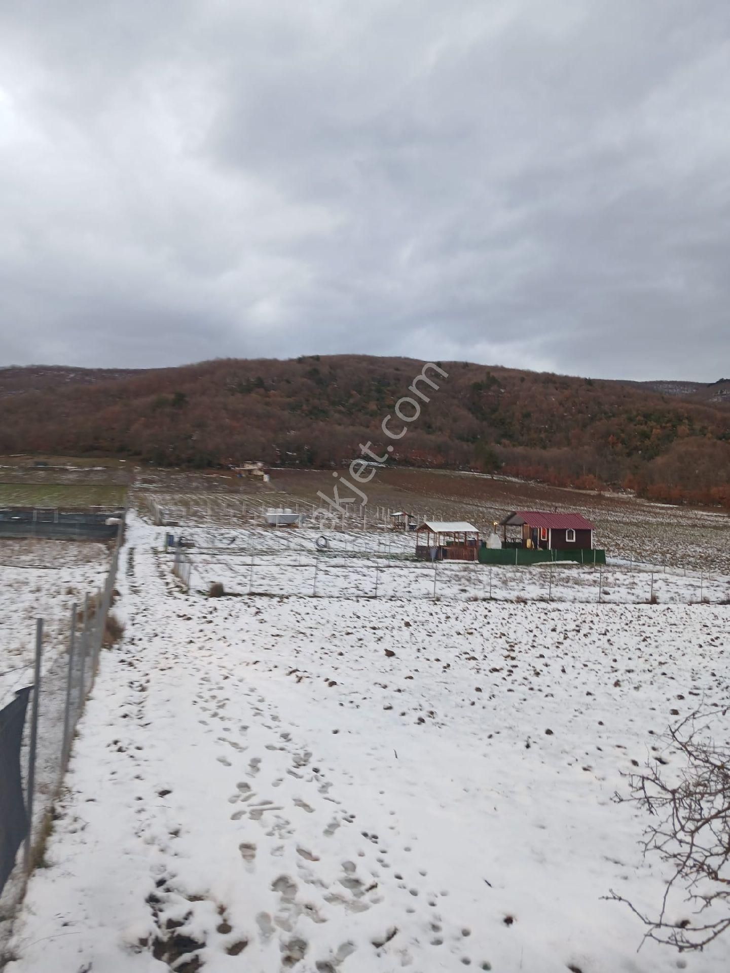 Kestel Gölcükte Hobi Bahçesi - Görsel 7