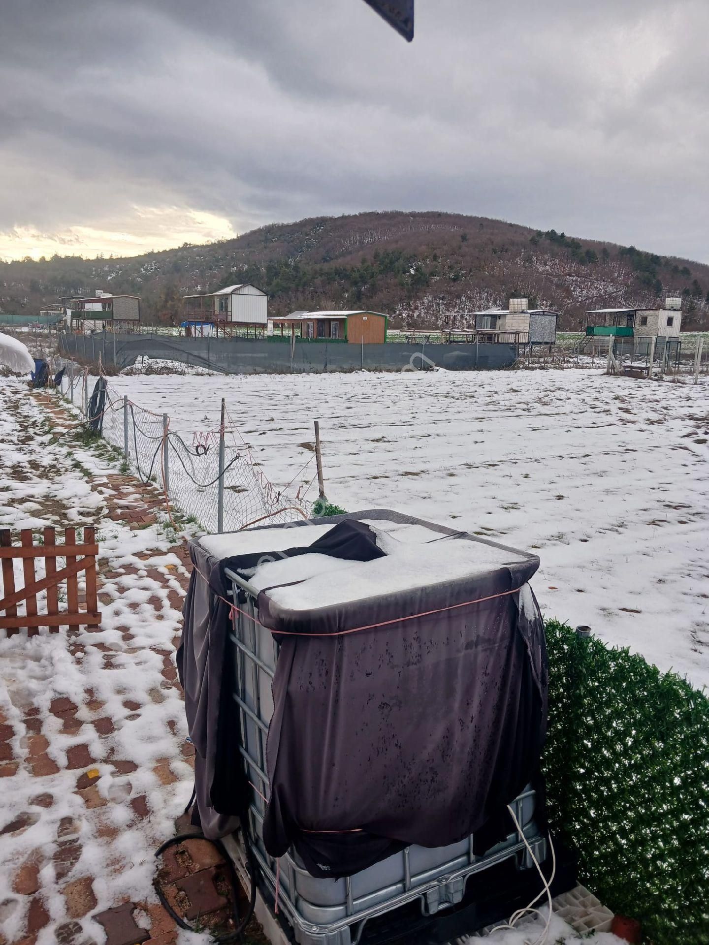 Kestel Gölcükte Hobi Bahçesi - Görsel 3