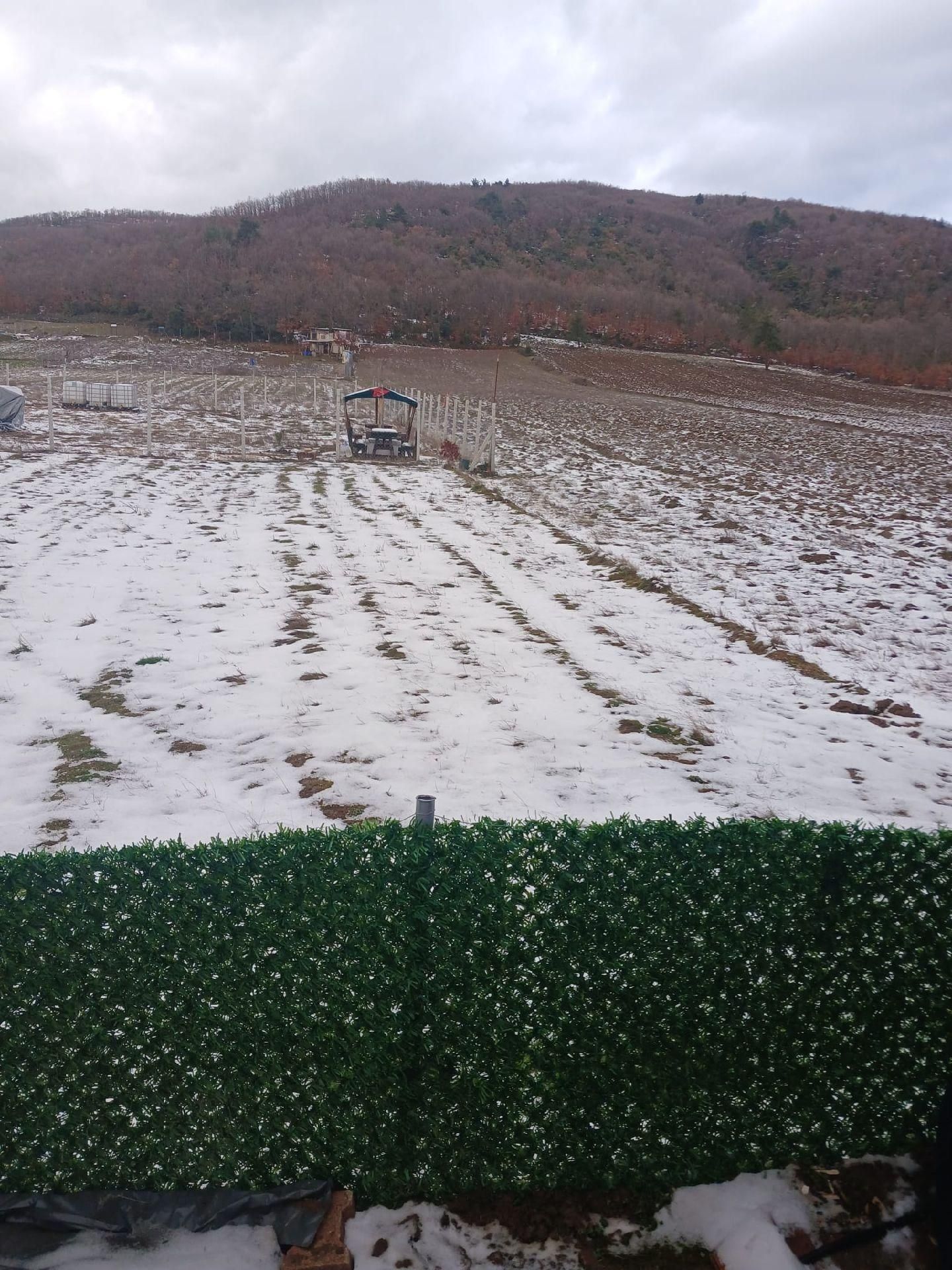 Kestel Gölcükte Hobi Bahçesi