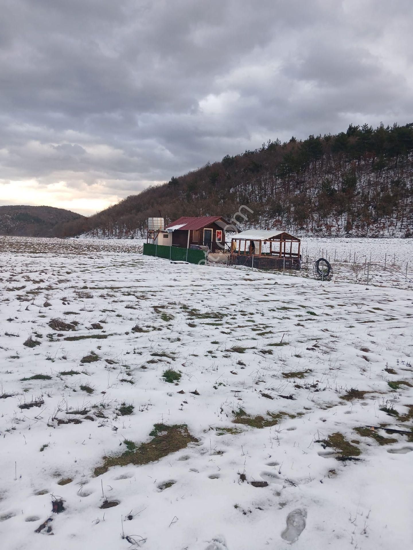 Kestel Gölcükte Hobi Bahçesi - Görsel 6