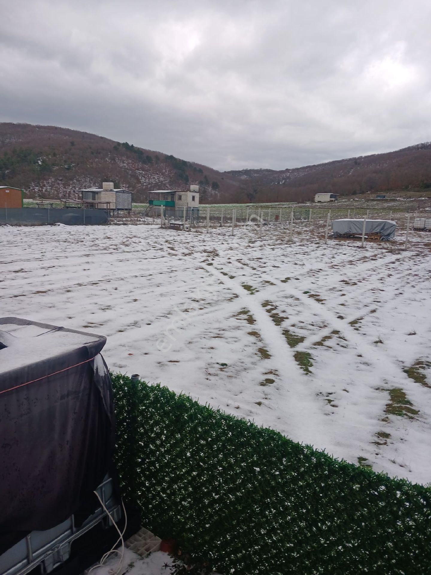 Kestel Gölcükte Hobi Bahçesi - Görsel 2