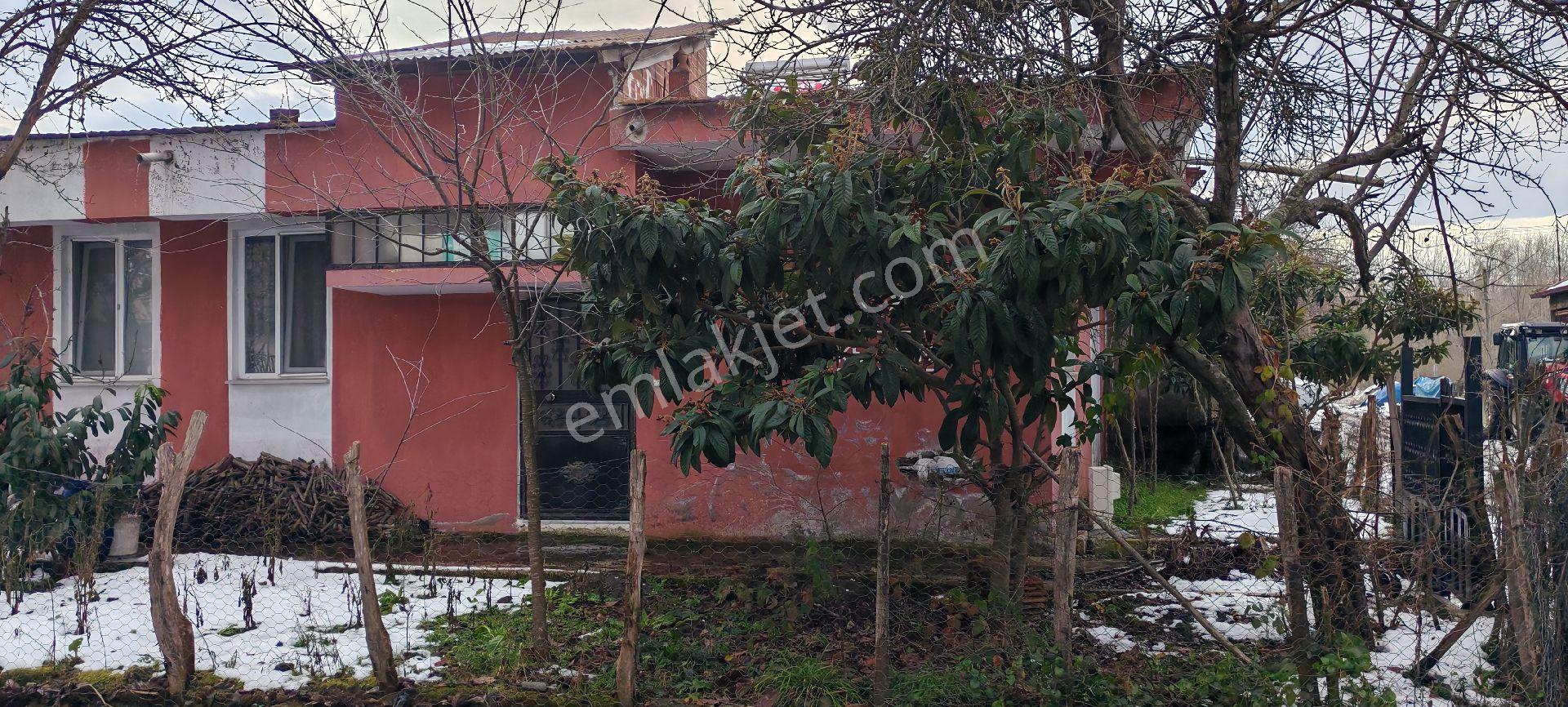 Samsun Terme Çay Mahallesinde Satilik Müstakil Arsa Üzeri Tek Katlı Bina Bahçeli Satılıkdıt - Görsel 3