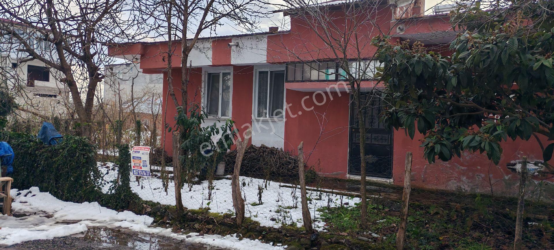 Samsun Terme Çay Mahallesinde Satilik Müstakil Arsa Üzeri Tek Katlı Bina Bahçeli Satılıkdıt - Görsel 2