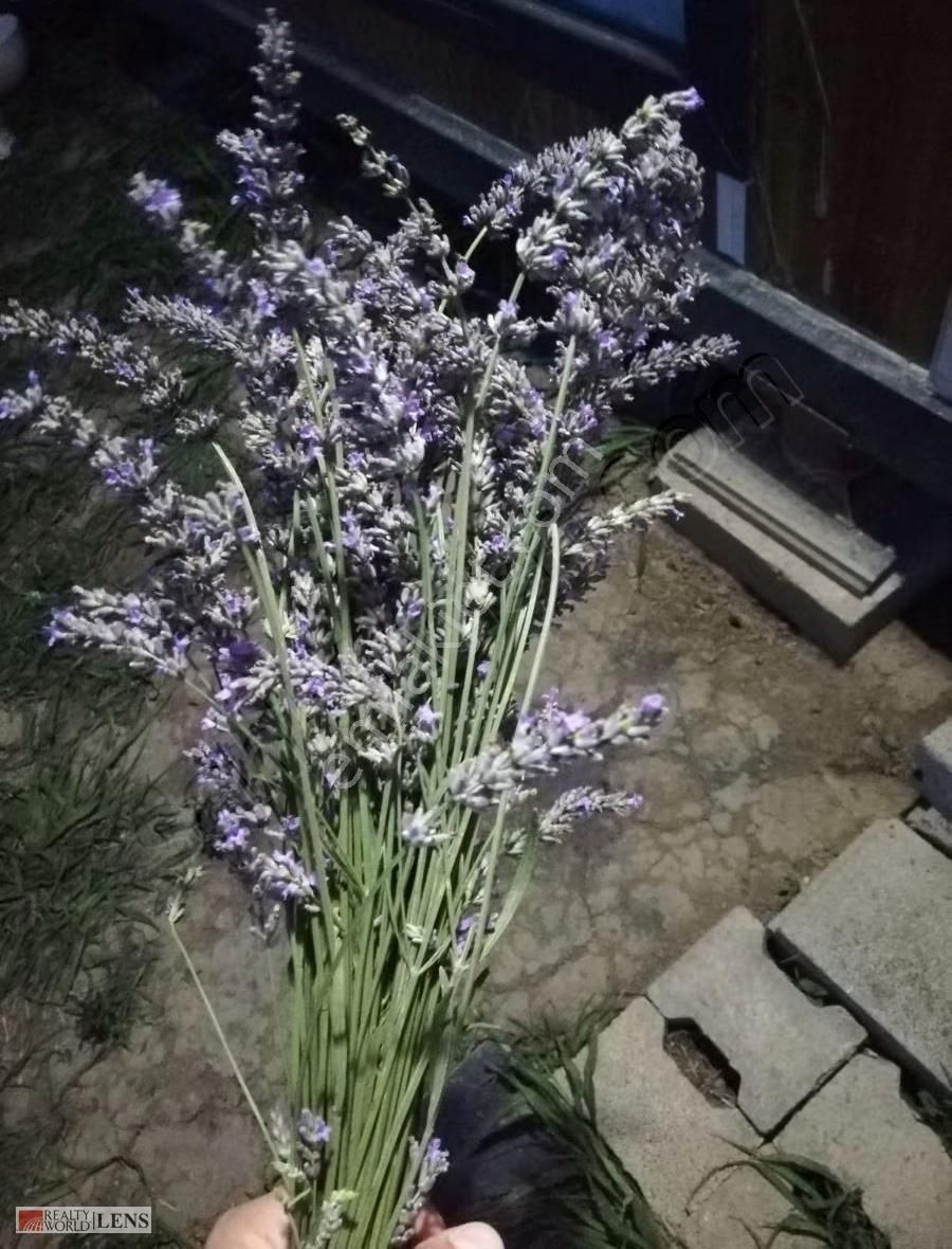 Adapazarı Aşırlarda Satılık Özel Yaşam Alanı - Görsel 8