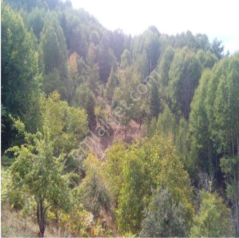 Bursaya Sadece 25 Dakika, Bölgenin En Ucuzu, Yarı Fiyatına