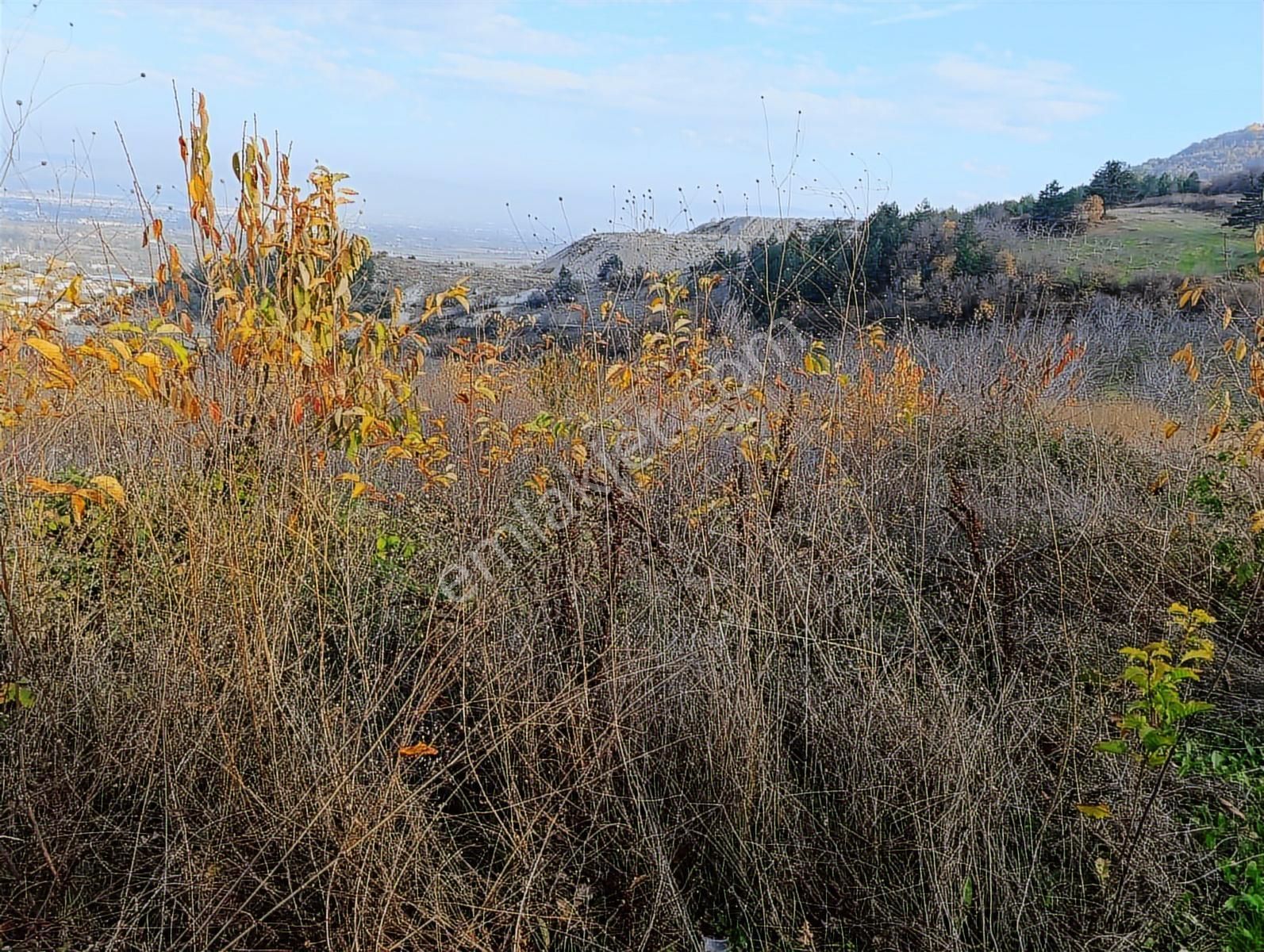 Safir Gayrimenkul Danışmanlık