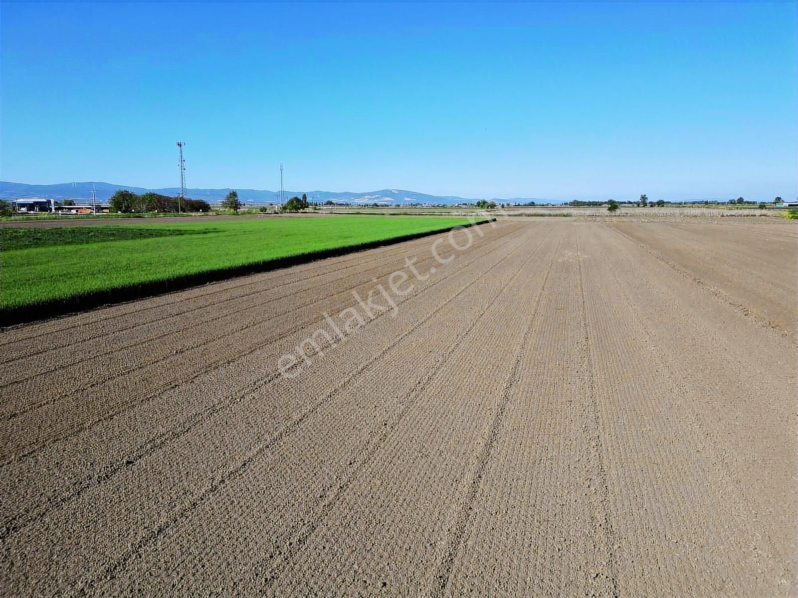 Karacabey Yenisarıbeyde Harika Konumda 31.560 M2 Tarla - Görsel 10