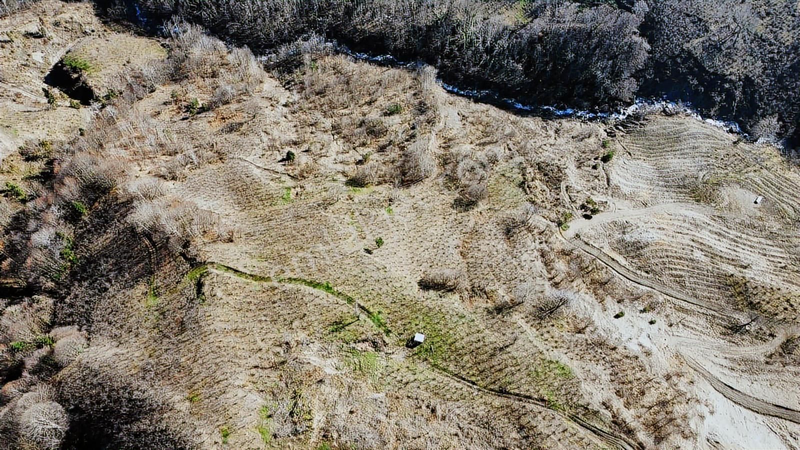 Yön Grouptan Satılık Fındık Bahçesi - Görsel 12