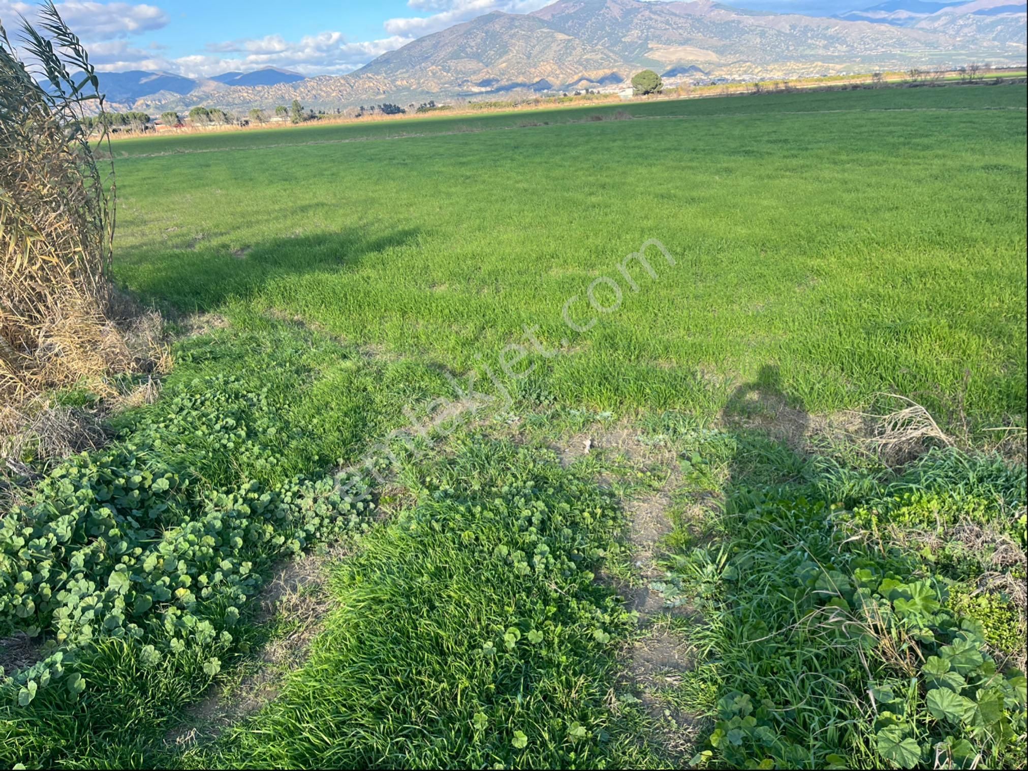 Miray Emlaktan Hamzallı Pirlibey Yolu Üzerinde Satılık Tarla - Görsel 7
