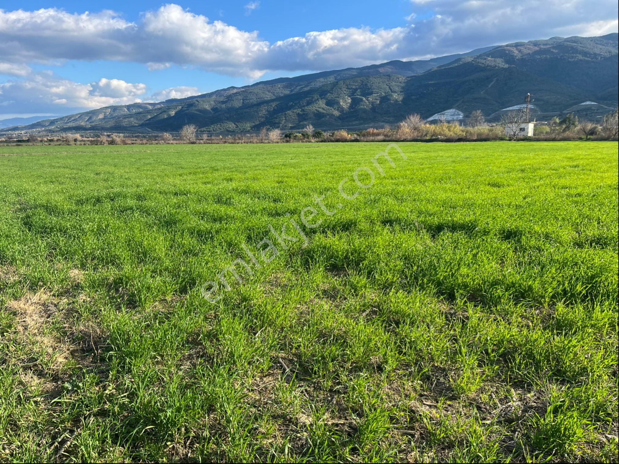 Miray Emlaktan Hamzallı Pirlibey Yolu Üzerinde Satılık Tarla - Görsel 33