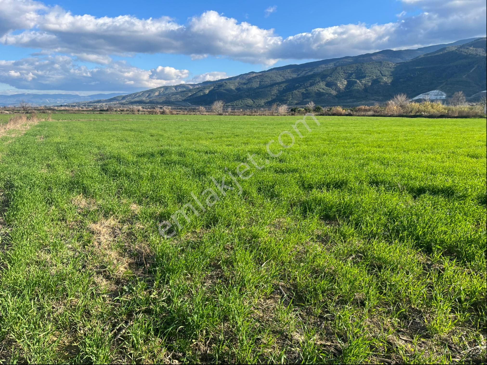 Miray Emlaktan Hamzallı Pirlibey Yolu Üzerinde Satılık Tarla - Görsel 34