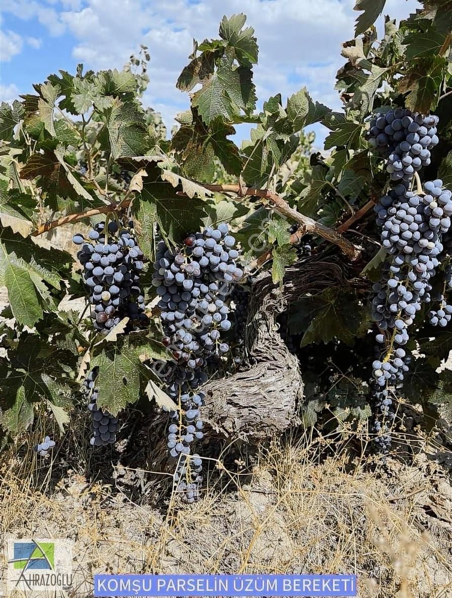 Antalya Elmalı Merkez'de Bahçe - Görsel 4